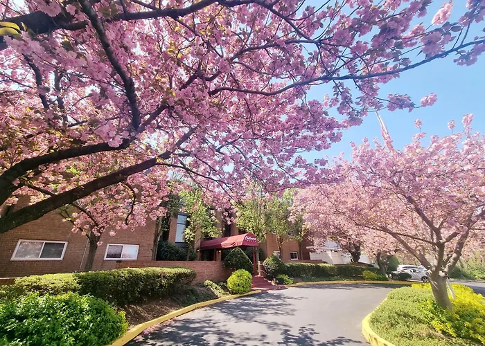 Modern 1Br Retreat In Elkins Park - Long Term