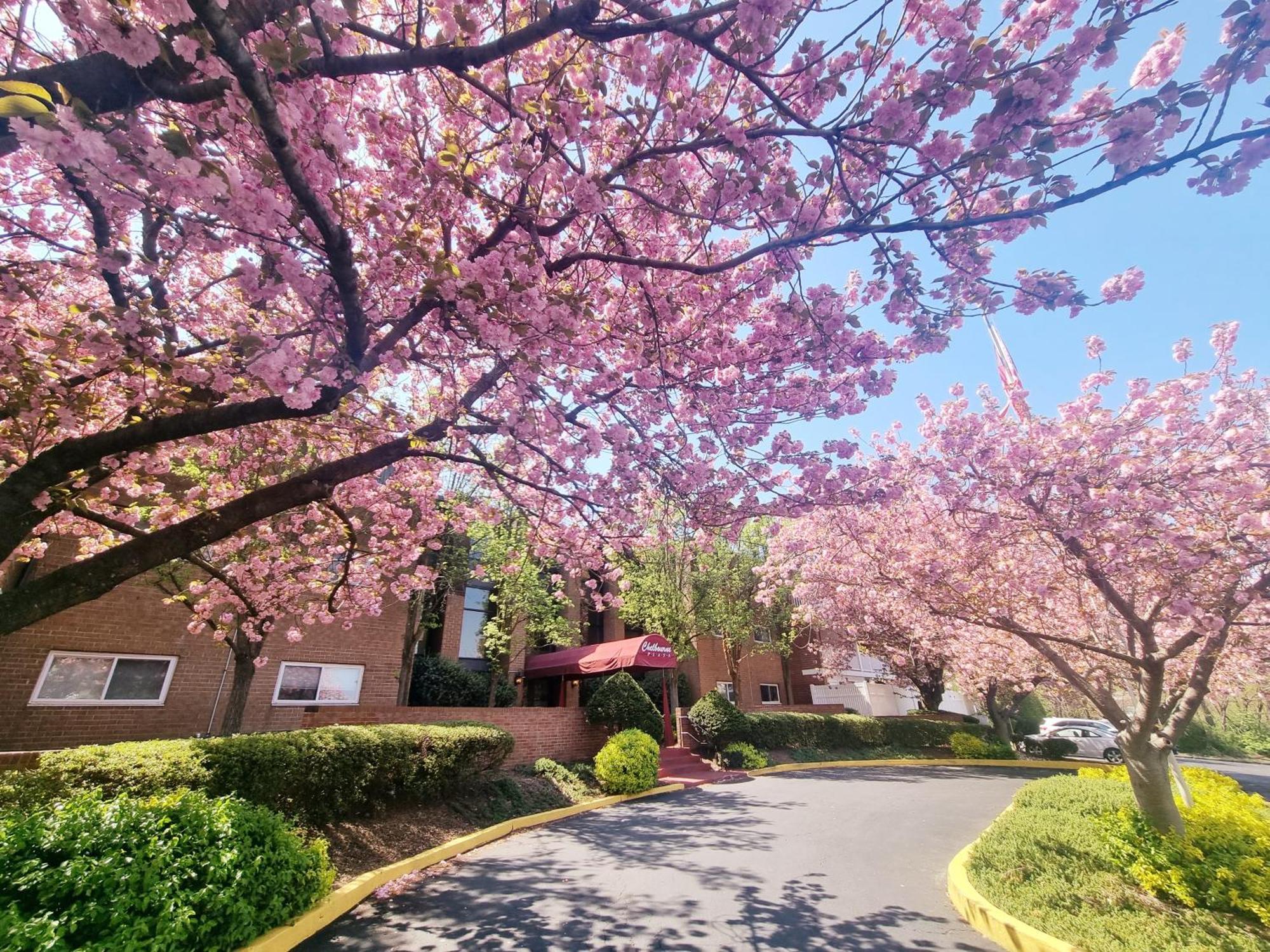 Modern 1br Retreat In Elkins Park - Long Term *